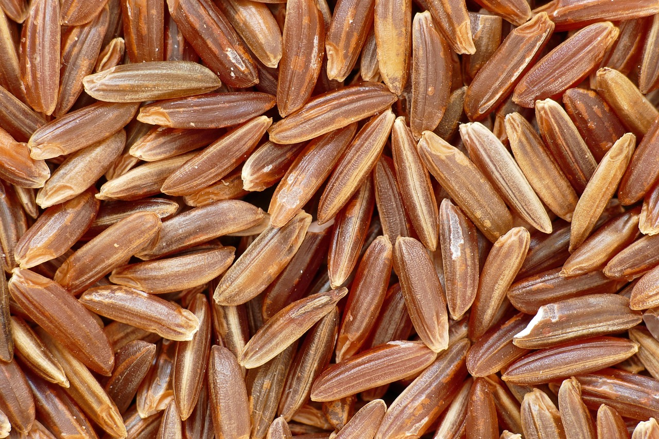 備蓄米の臭い消しに効果的な方法は？