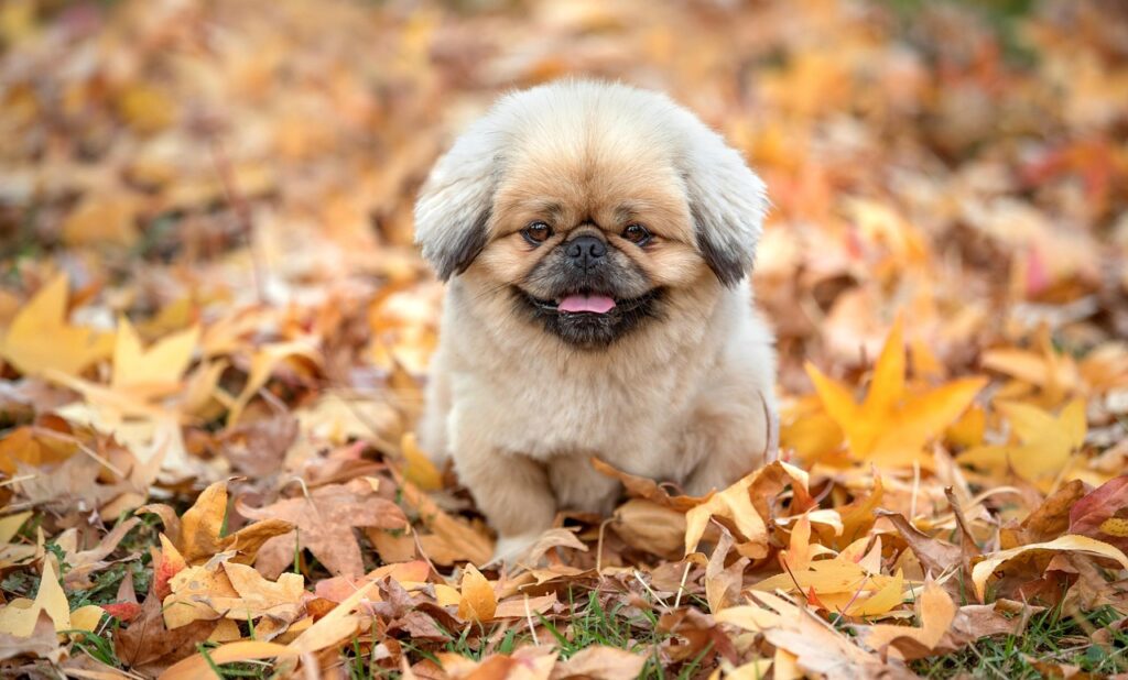 備蓄米の匂いがきつい時の対処法は？