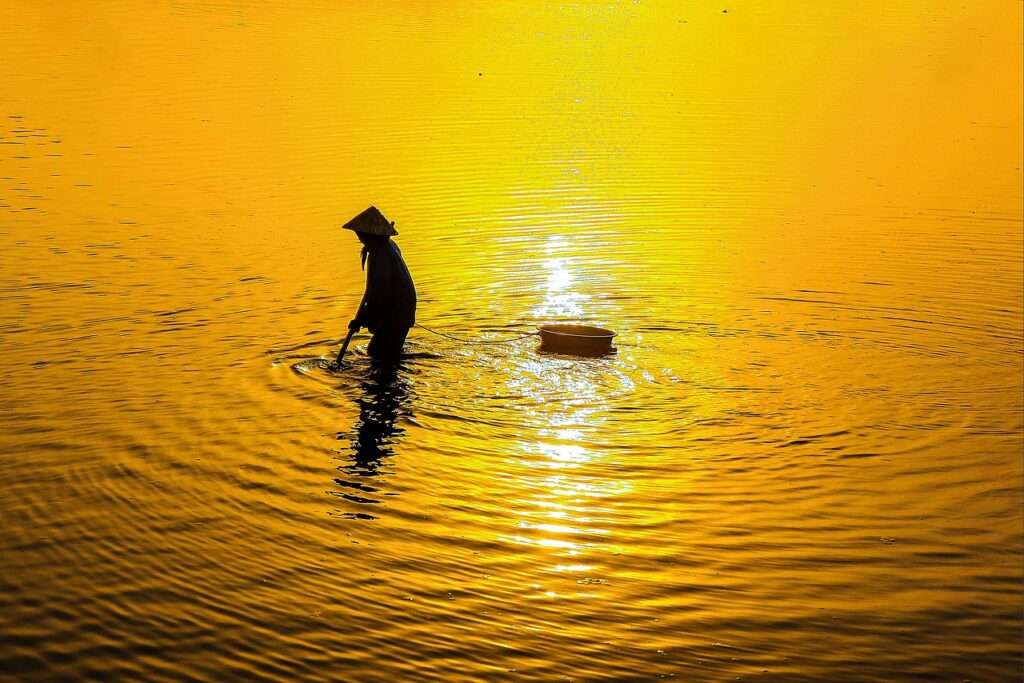 古米をおいしく炊くための秘訣は？