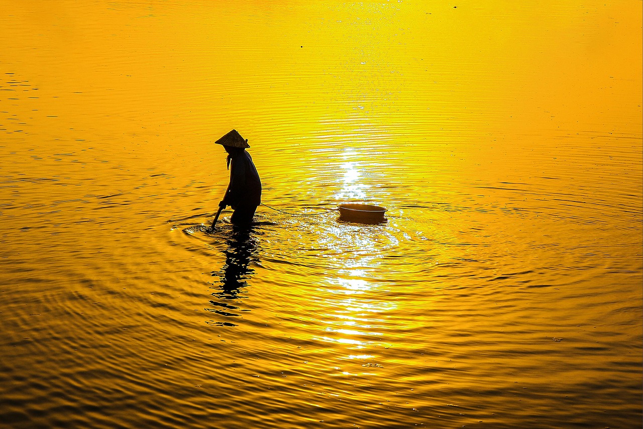 新米と古米を混ぜる割合はどれくらいがベスト？