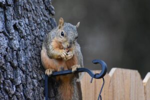 米の食べる以外の使い道とは何ですか？