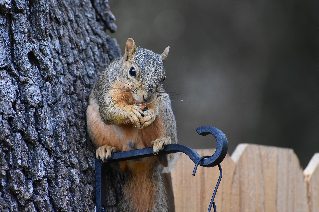 米の食べる以外の使い道とは何ですか？