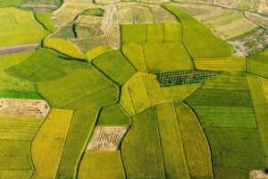 備蓄米を通販で購入し地震に備えるためのおすすめの量は？