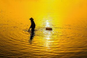 備蓄米を使った通販でのおにぎり作りのコツは？