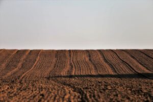 備蓄米の通販でポイント還元を比較する方法は？