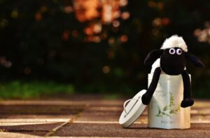 備蓄米を通販で日時指定できる方法は？