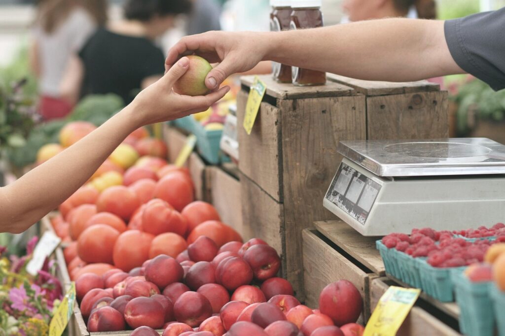 備蓄米を通販で買う時期のおすすめはいつ？