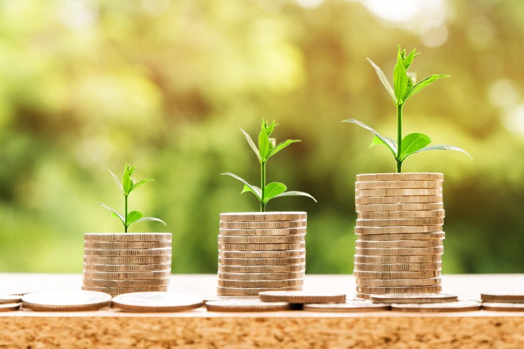 長期保存米の通販でおすすめの5年保存商品は？