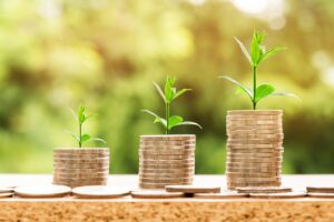 長期保存米の通販でおすすめの5年保存商品は？